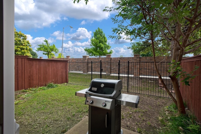 6624 Federal Hall St, Plano, TX 75023 - view of yard