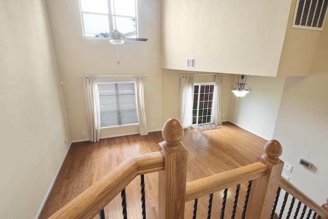 6624 Federal Hall St, Plano, TX 75023 - dining space featuring wood finished floors, a ceiling fan, a high ceiling, and baseboards