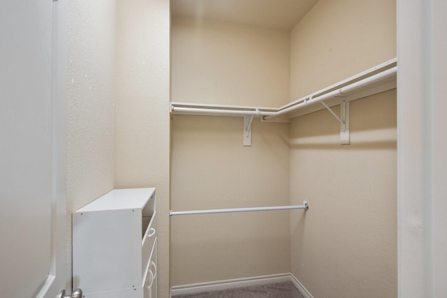 6624 Federal Hall St, Plano, TX 75023 - spacious closet featuring carpet