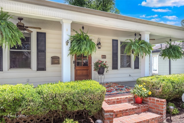 1321 Anniston Ave, Shreveport, LA 71105 - view of exterior entry with a porch and ceiling fan