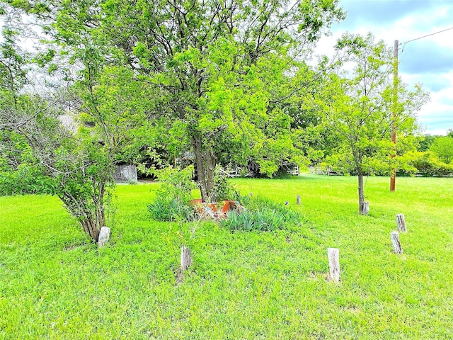 202 Powell Rd, Weatherford, TX 76088 - view of green lawn