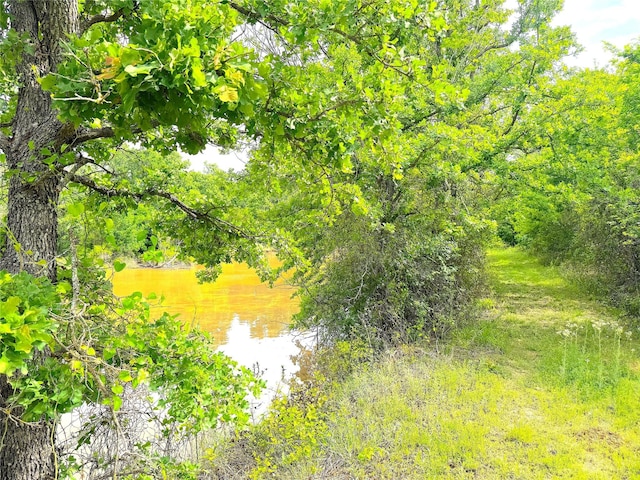202 Powell Rd, Weatherford, TX 76088 - view of undeveloped land featuring a nearby body of water