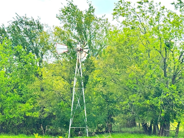 202 Powell Rd, Weatherford, TX 76088 - view of nature