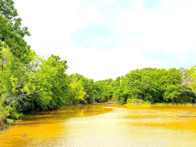 202 Powell Rd, Weatherford, TX 76088 - water view featuring a forest