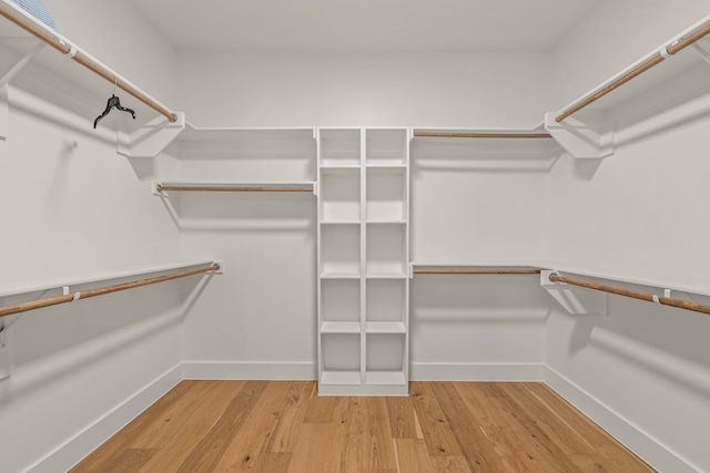 908 Muncie Ave, Dallas, TX 75212 - walk in closet with light wood-style flooring