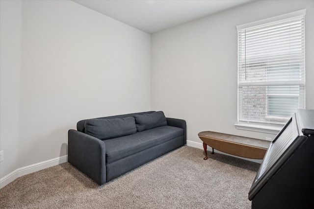 517 Big Horn Pass, Denton, TX 76210 - living area featuring carpet floors and baseboards