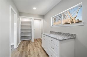 1306 S Oak Cliff Blvd, Dallas, TX 75208 - walk in closet featuring light wood-style flooring