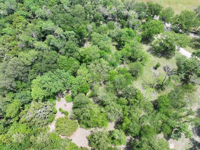677 Fm 3356, Van Alstyne, TX 75495 - bird's eye view