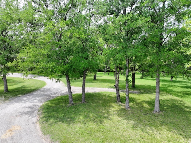 677 Fm 3356, Van Alstyne, TX 75495 - view of community featuring a yard