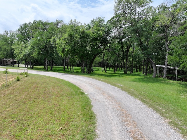 677 Fm 3356, Van Alstyne, TX 75495 - view of road with view of wooded area