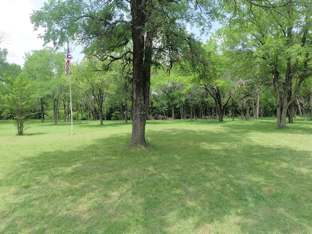 677 Fm 3356, Van Alstyne, TX 75495 - view of grassy yard