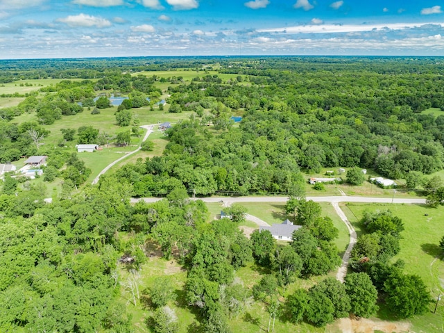 13530 Hiram Rd, Wills Point, TX 75169 - drone / aerial view of a forest
