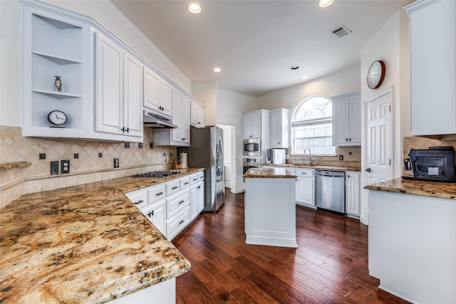 7905 Cherry Creek Dr, Plano, TX 75025 - kitchen featuring appliances with stainless steel finishes, a sink, under cabinet range hood, light stone countertops, and white cabinets