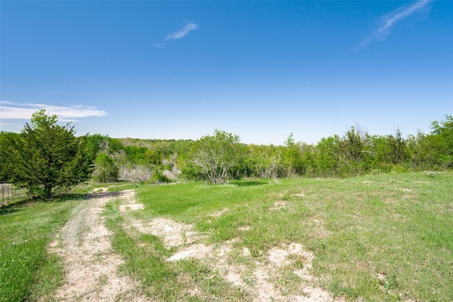 6980 Prather Rd, Springtown, TX 76082 - view of yard featuring a forest view