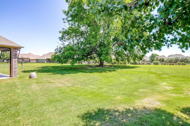 3201 Steamers Ct, Granbury, TX 76049 - view of green lawn