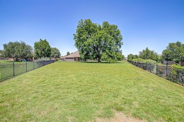 3201 Steamers Ct, Granbury, TX 76049 - view of yard