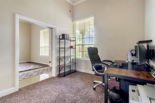 2901 NE Regents Park Ln, Garland, TX 75043 - carpeted office with baseboards and crown molding