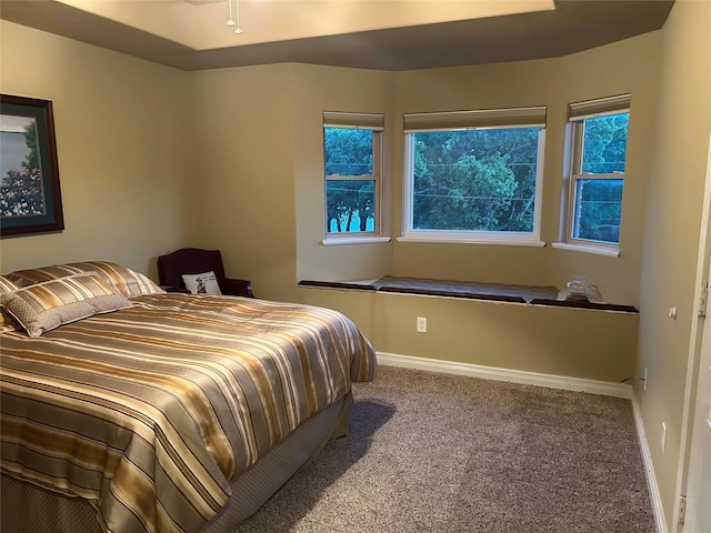 2663 Rodeo Dr, Quinlan, TX 75474 - bedroom featuring carpet flooring and baseboards