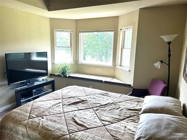 2663 Rodeo Dr, Quinlan, TX 75474 - bedroom with a textured wall and multiple windows