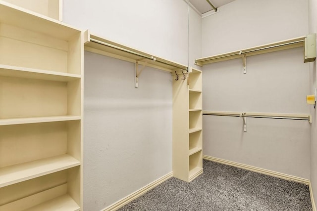 5909 Woodwind Dr, Plano, TX 75093 - walk in closet with carpet flooring