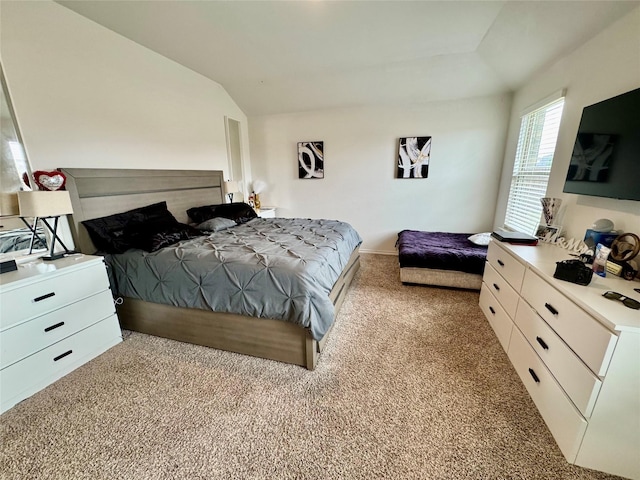 1013 Euston St, Denton, TX 76209 - bedroom with carpet floors and vaulted ceiling