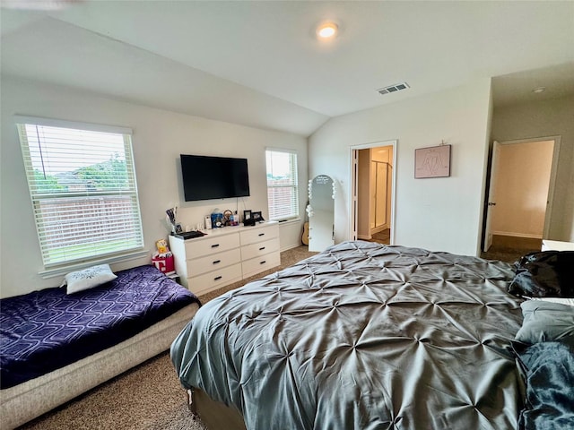 1013 Euston St, Denton, TX 76209 - bedroom with carpet floors and lofted ceiling