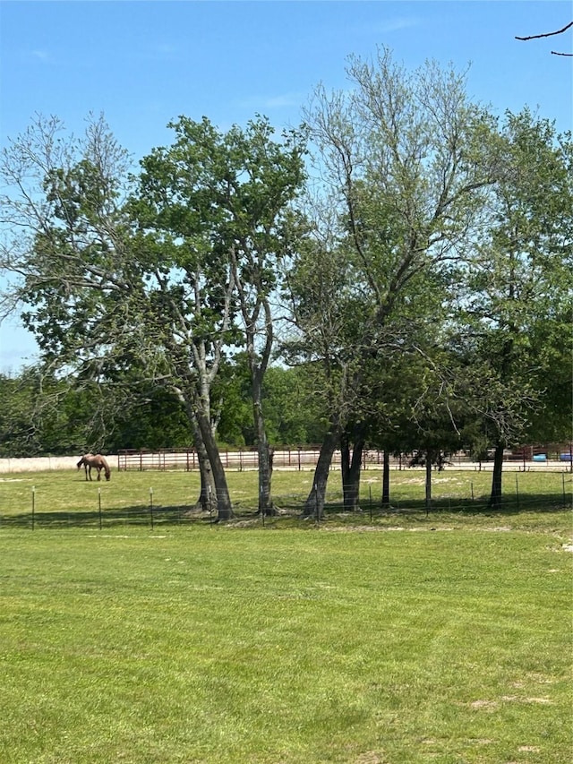 285 NE 5th St, Bogata, TX 75417 - view of yard