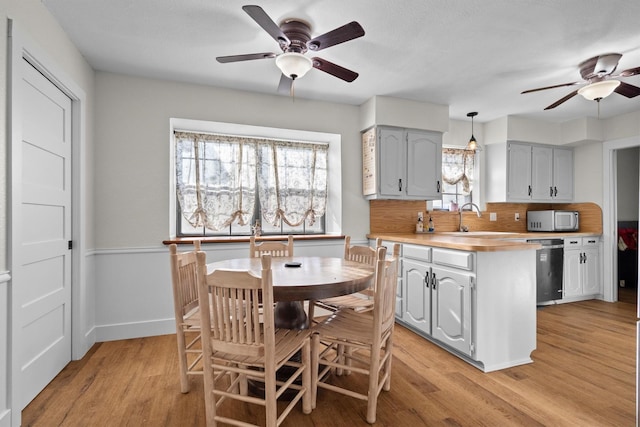 1610 Alpine Pass, Lewisville, TX 75077 - kitchen with ceiling fan, appliances with stainless steel finishes, light wood-style flooring, and light countertops