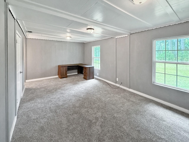 18023 Lakeview Blvd, Mabank, TX 75156 - below grade area with carpet flooring and baseboards