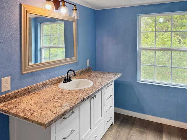 18023 Lakeview Blvd, Mabank, TX 75156 - bathroom featuring wood finished floors, plenty of natural light, vanity, baseboards, and a textured ceiling