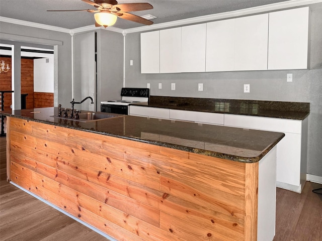 18023 Lakeview Blvd, Mabank, TX 75156 - kitchen featuring white range with electric stovetop, a sink, crown molding, a ceiling fan, and wood finished floors