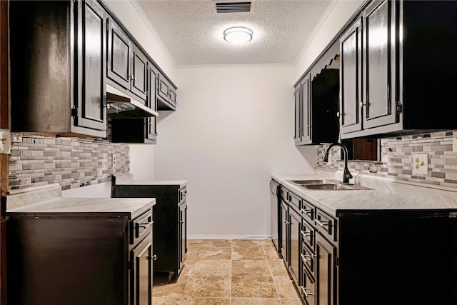 635 N Center St, Blossom, TX 75416 - kitchen featuring a sink, a textured ceiling, dark cabinetry, under cabinet range hood, and decorative backsplash