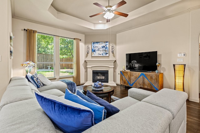 2508 Pioneer Dr, Denton, TX 76210 - living area with ceiling fan, dark wood-style floors, a tray ceiling, a fireplace with raised hearth, and baseboards