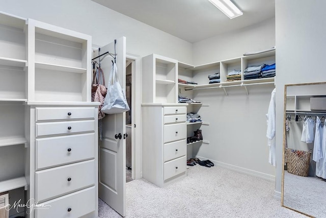 1010 Toledano Cir, Shreveport, LA 71106 - walk in closet with carpet floors