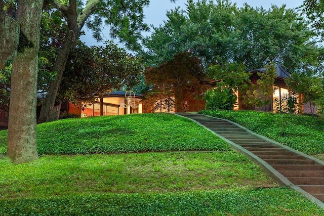 1624 Eastus Dr, Dallas, TX 75208 - view of green lawn