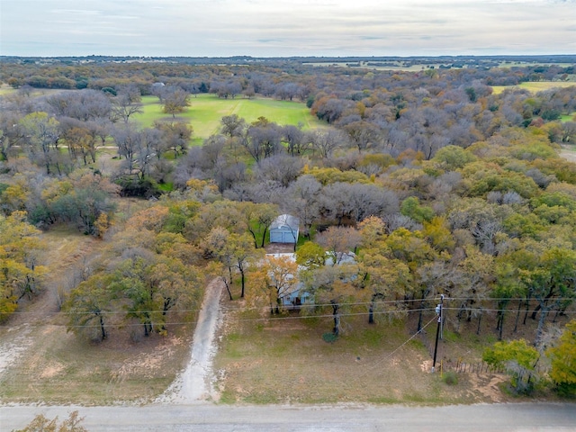 890 Nash Ln, Lipan, TX 76462 - drone / aerial view of a forest
