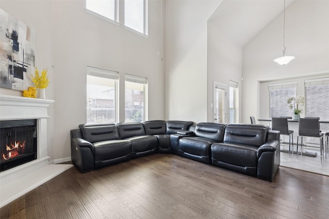 824 Water Garden Cir, Little Elm, TX 75068 - living area with a towering ceiling, a warm lit fireplace, plenty of natural light, and hardwood / wood-style flooring