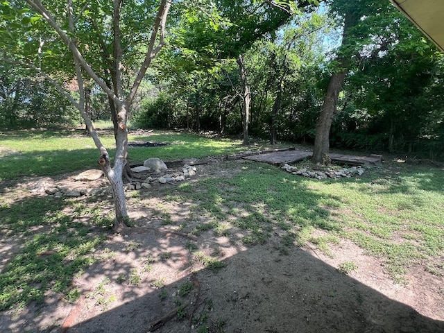 143 Brookshire Ave, Azle, TX 76020 - view of green lawn