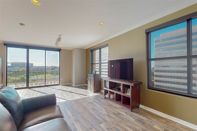 330 Las Colinas Blvd E Unit 920, Irving, TX 75039 - living room featuring baseboards, wood finished floors, track lighting, crown molding, and recessed lighting