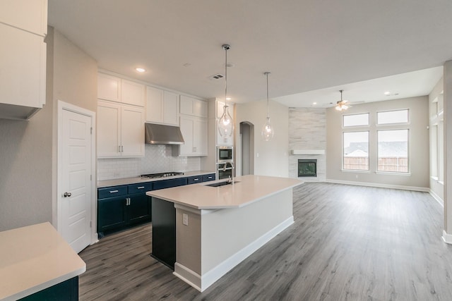 2033 Barbette St, Fort Worth, TX 76008 - kitchen with under cabinet range hood, a sink, wood finished floors, arched walkways, and decorative backsplash