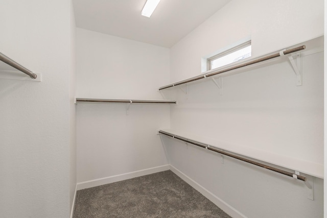 2033 Barbette St, Fort Worth, TX 76008 - walk in closet with dark colored carpet