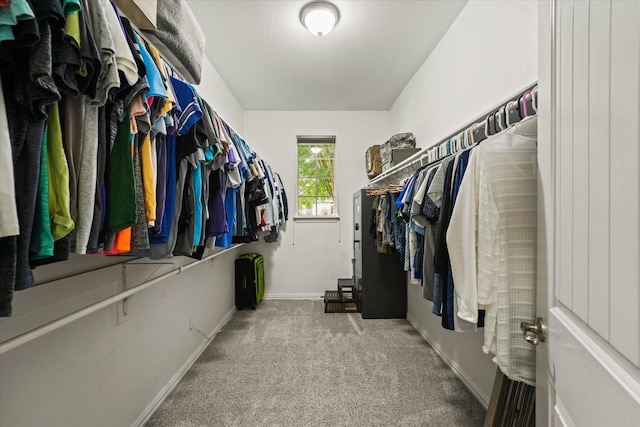 11521 Misty Mesa Dr, Fort Worth, TX 76052 - spacious closet featuring carpet