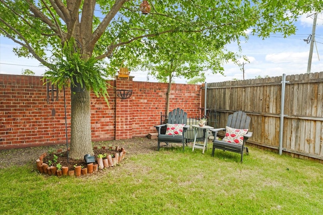 11521 Misty Mesa Dr, Fort Worth, TX 76052 - view of yard