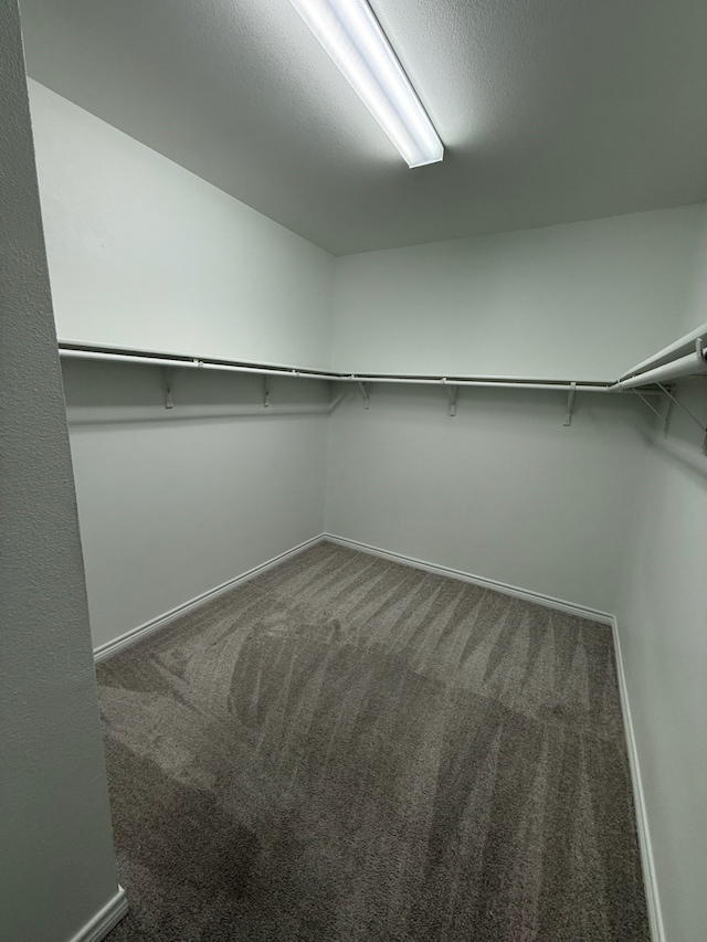 3681 Keechi Creek Dr, Celina, TX 75078 - spacious closet featuring carpet