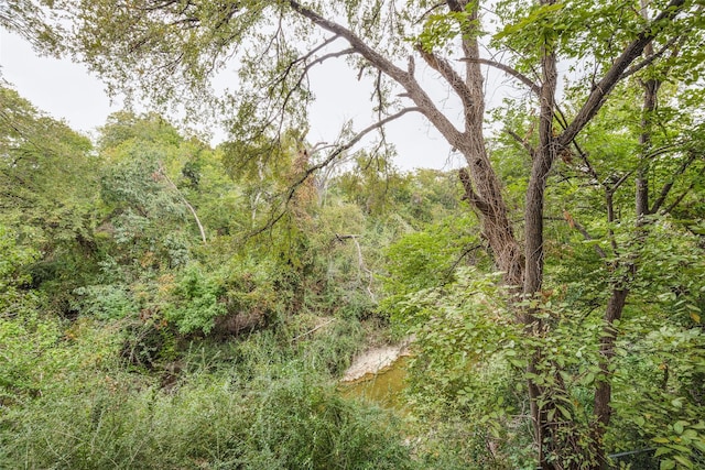 9801 Royal Ln Unit 703, Dallas, TX 75231 - view of wooded area
