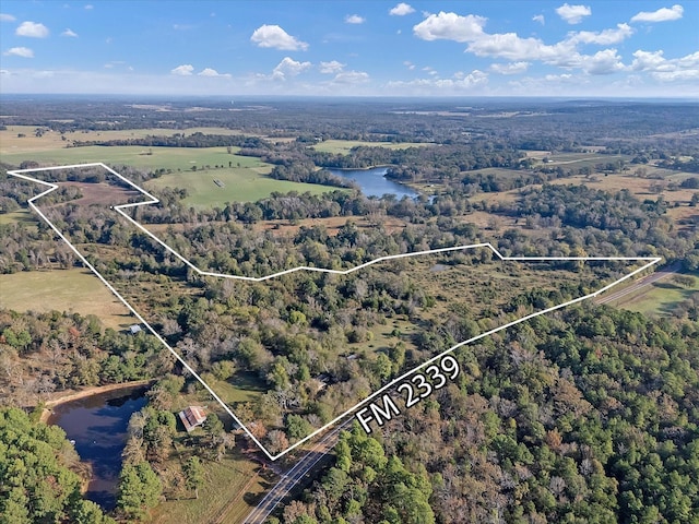 2640 Fm 2339, Ben Wheeler, TX 75754