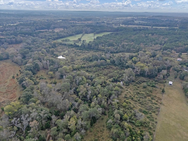2640 Fm 2339, Ben Wheeler, TX 75754