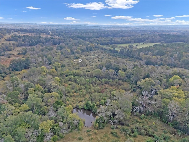 2640 Fm 2339, Ben Wheeler, TX 75754