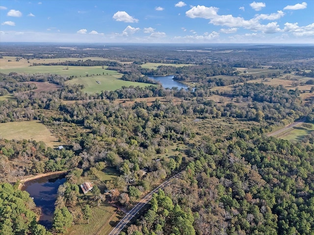 2640 Fm 2339, Ben Wheeler, TX 75754