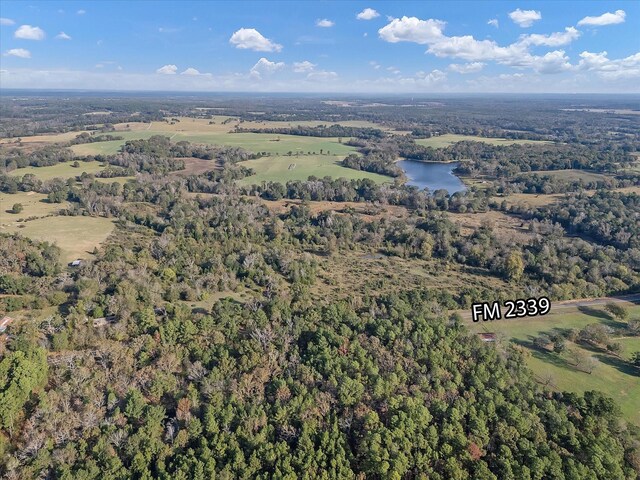 2640 Fm 2339, Ben Wheeler, TX 75754